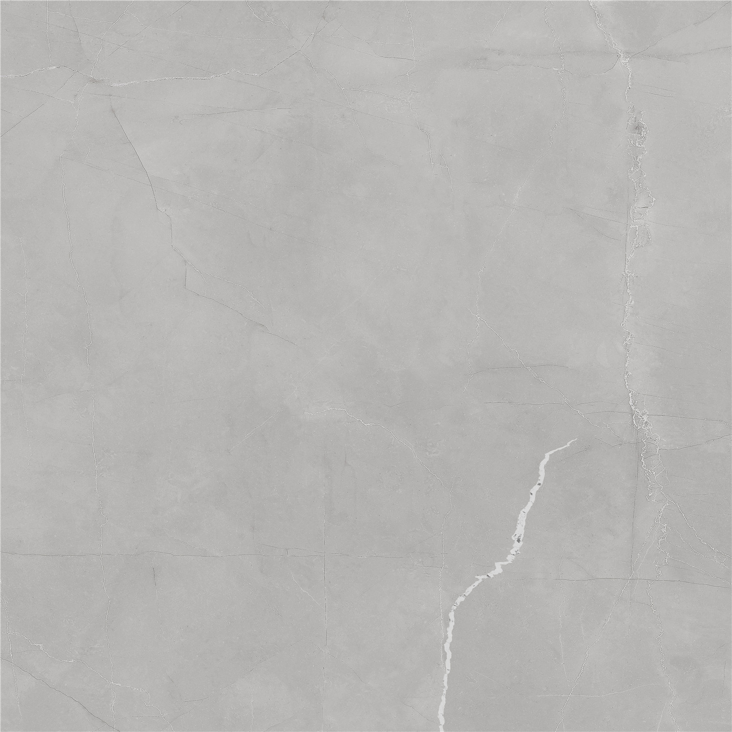 YCYB80027B 普佩斯淺灰