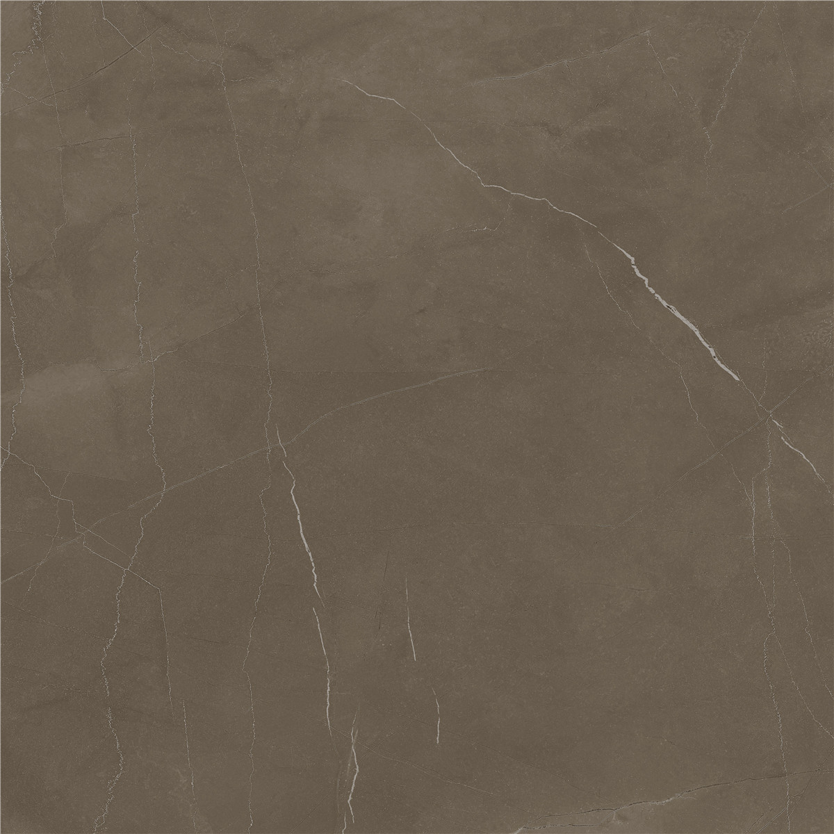 YCYB80026B 普佩斯棕咖