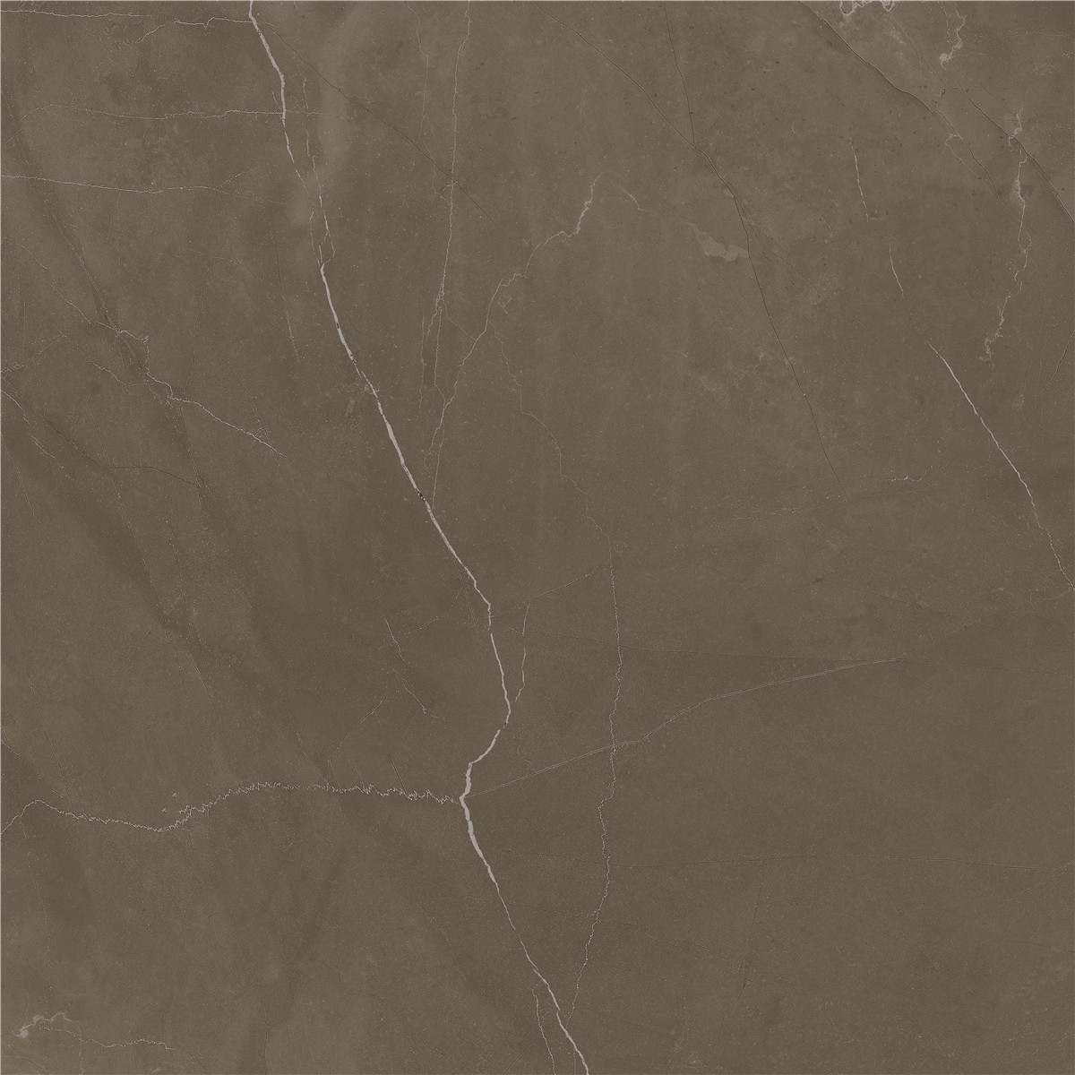 YCYB80026B 普佩斯棕咖