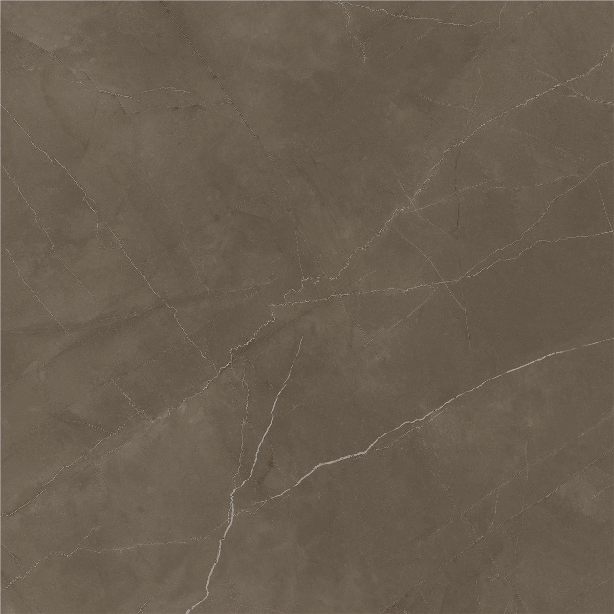 YCYB80026B 普佩斯棕咖