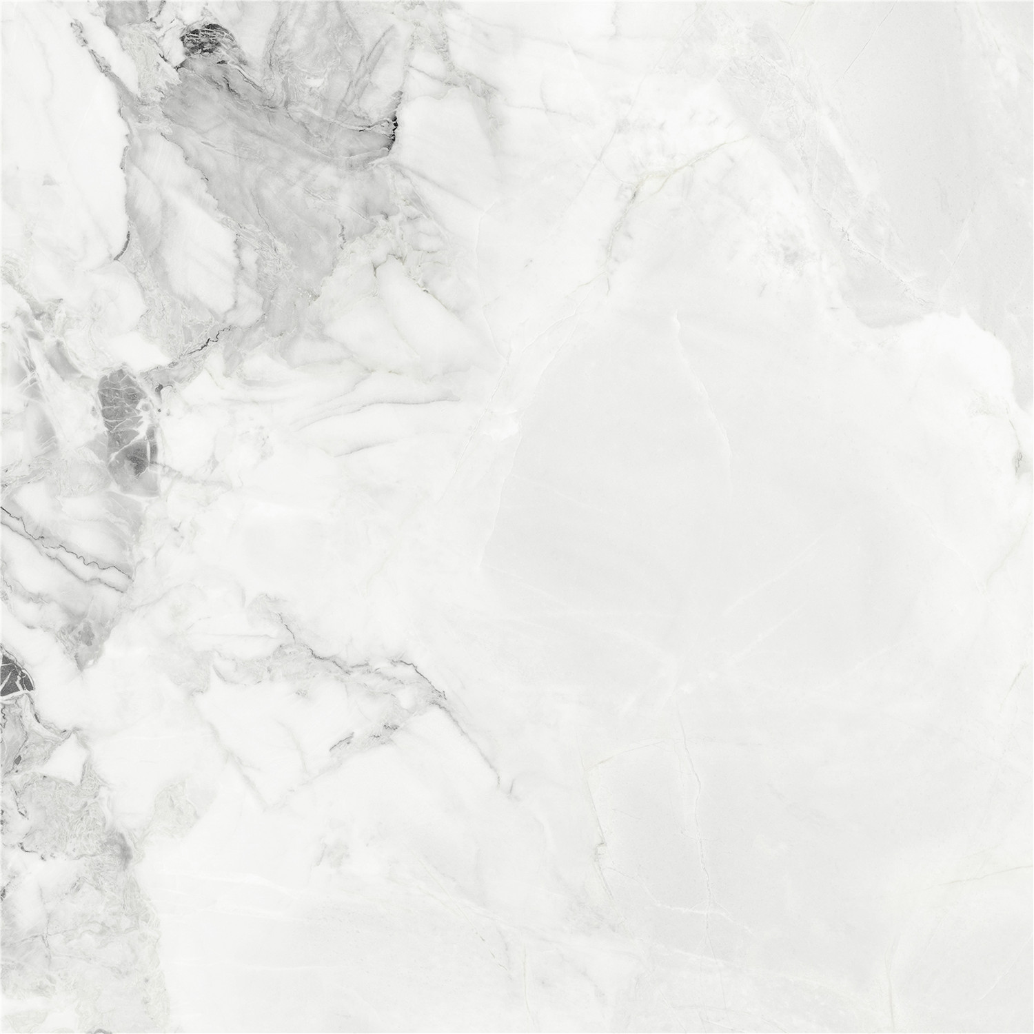 YBF80003水墨年華