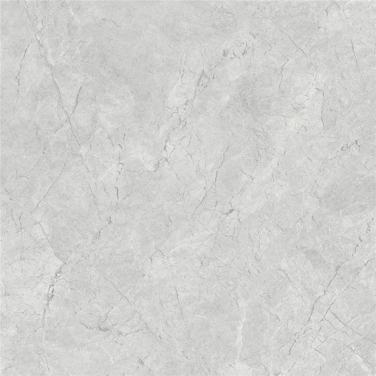 YHTT80094B萊卡淺灰