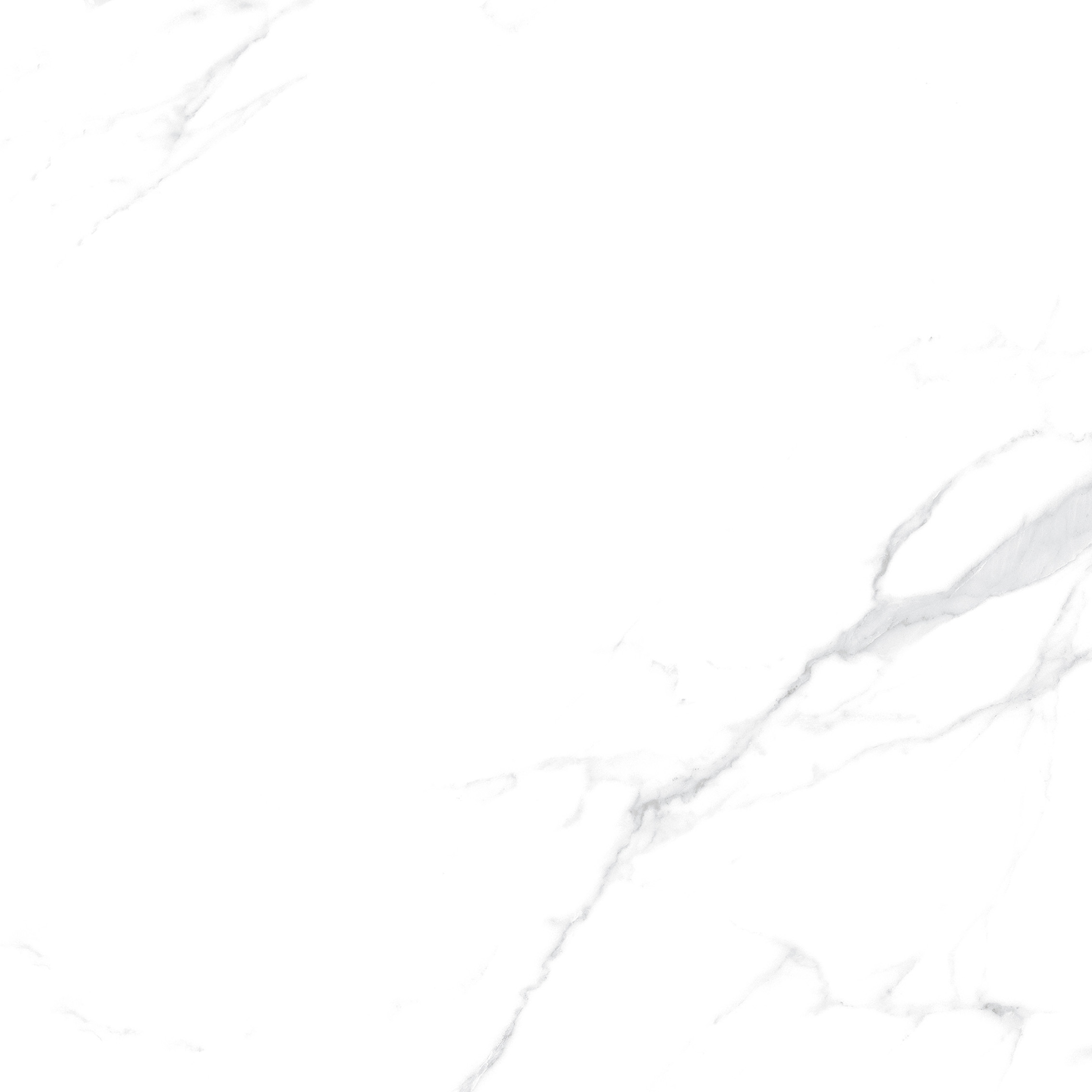 YHTT82999伊麗莎白