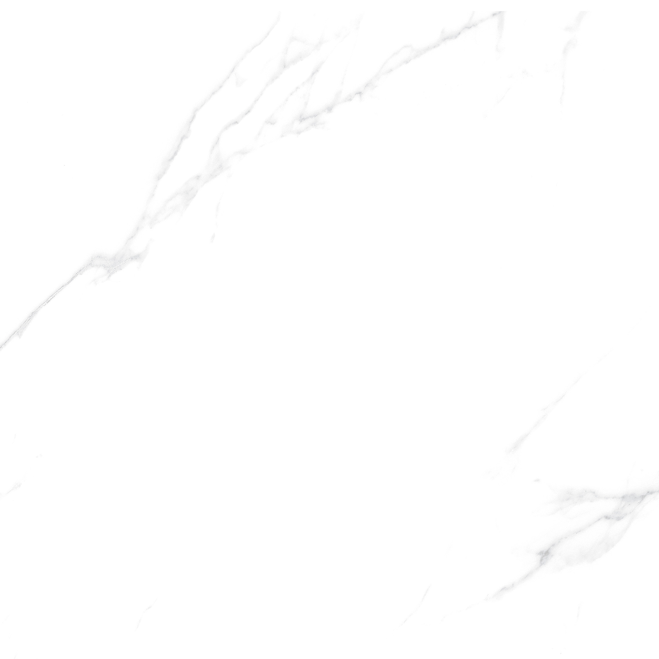 YHTT82999伊麗莎白