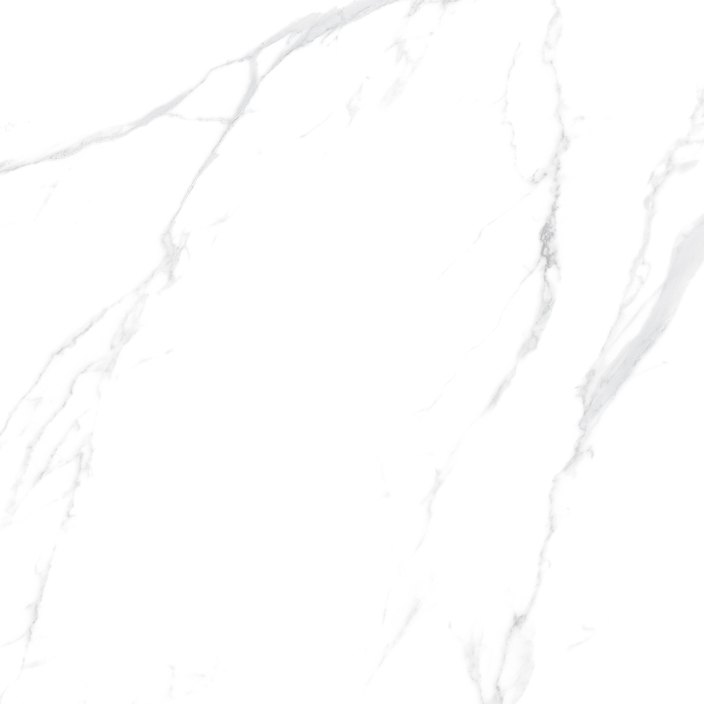 YHTT82999伊麗莎白