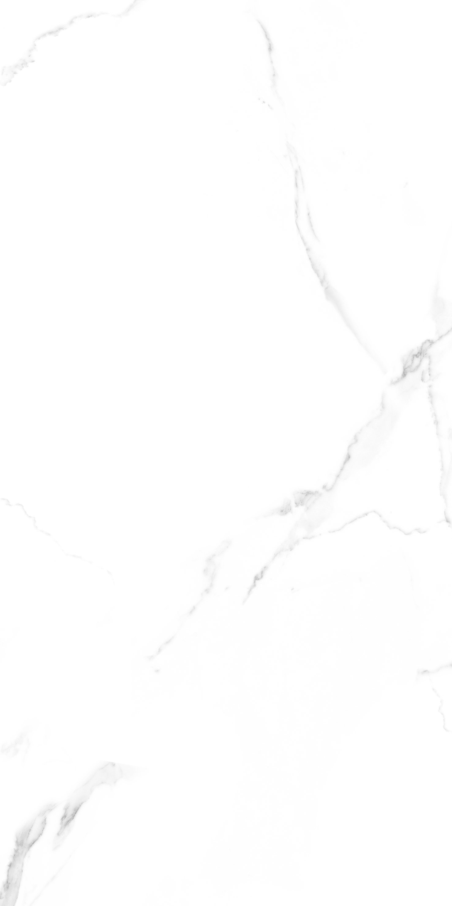 YTB15018阿爾卑斯白