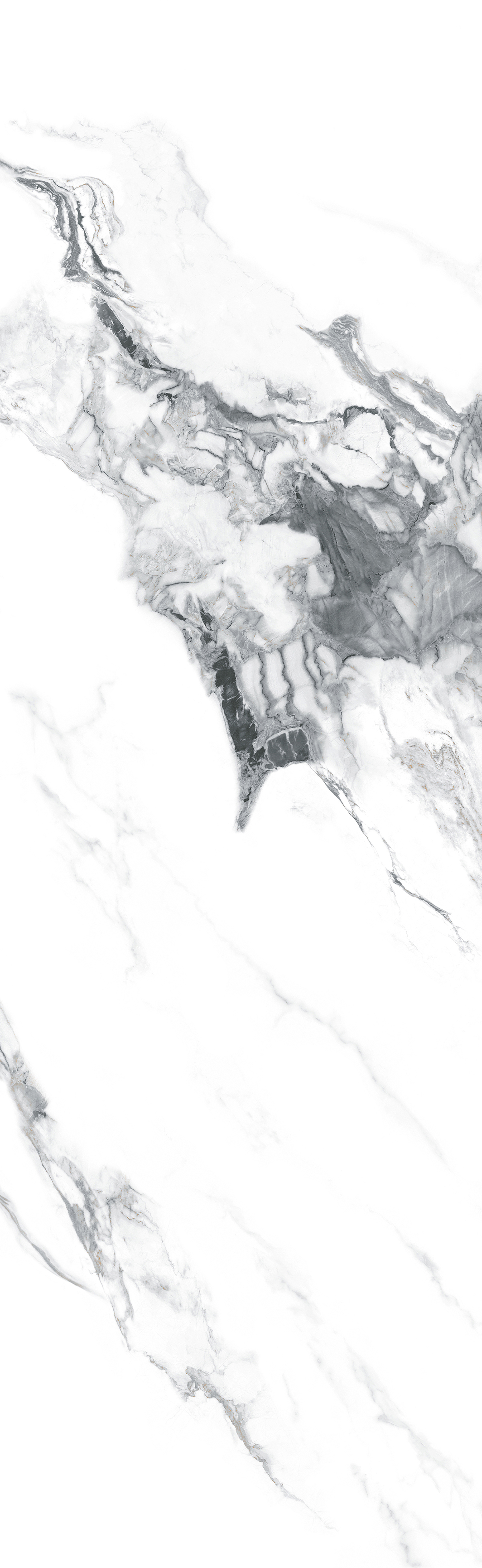 HJ6L2608012云墨白