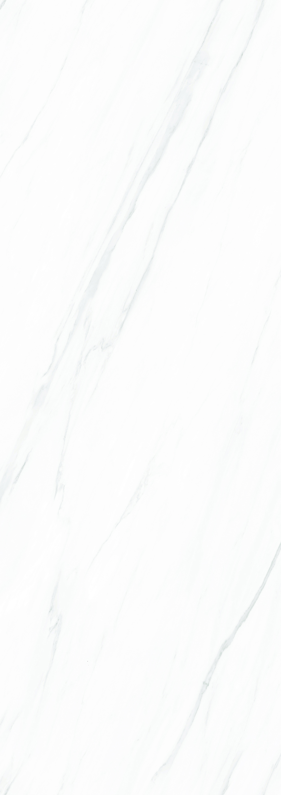 HJ260911AY貝加莫白