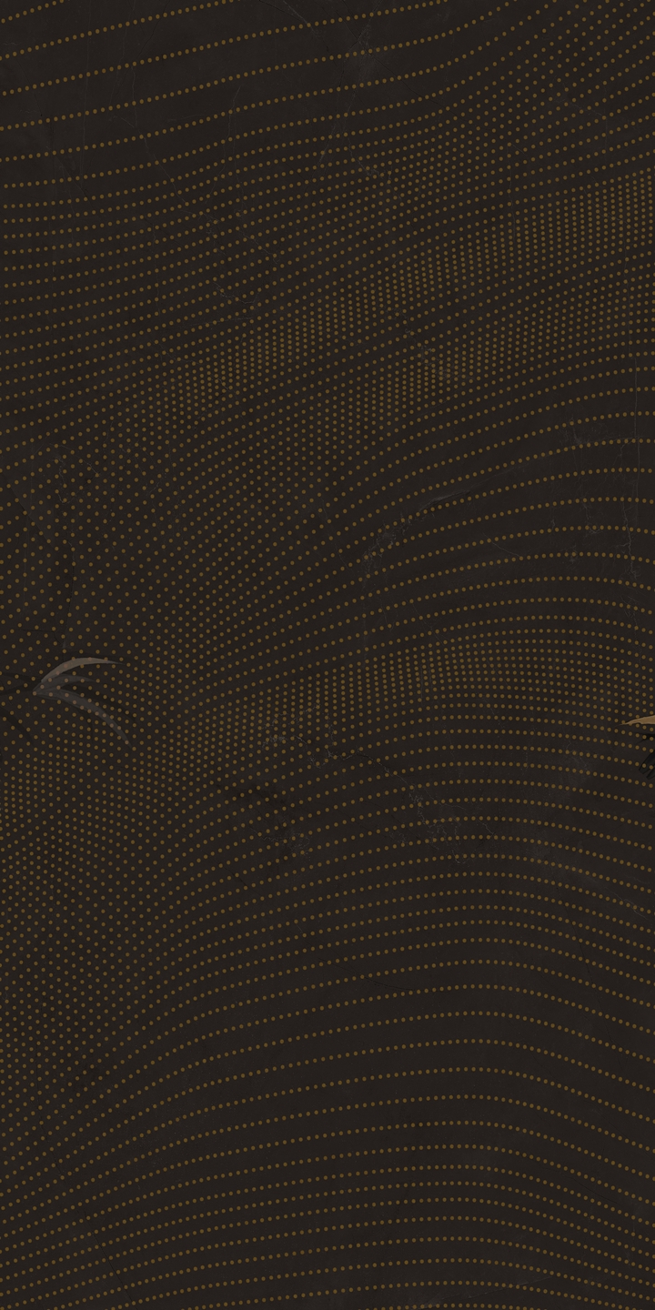 HJ9L2412019煙云崧竹