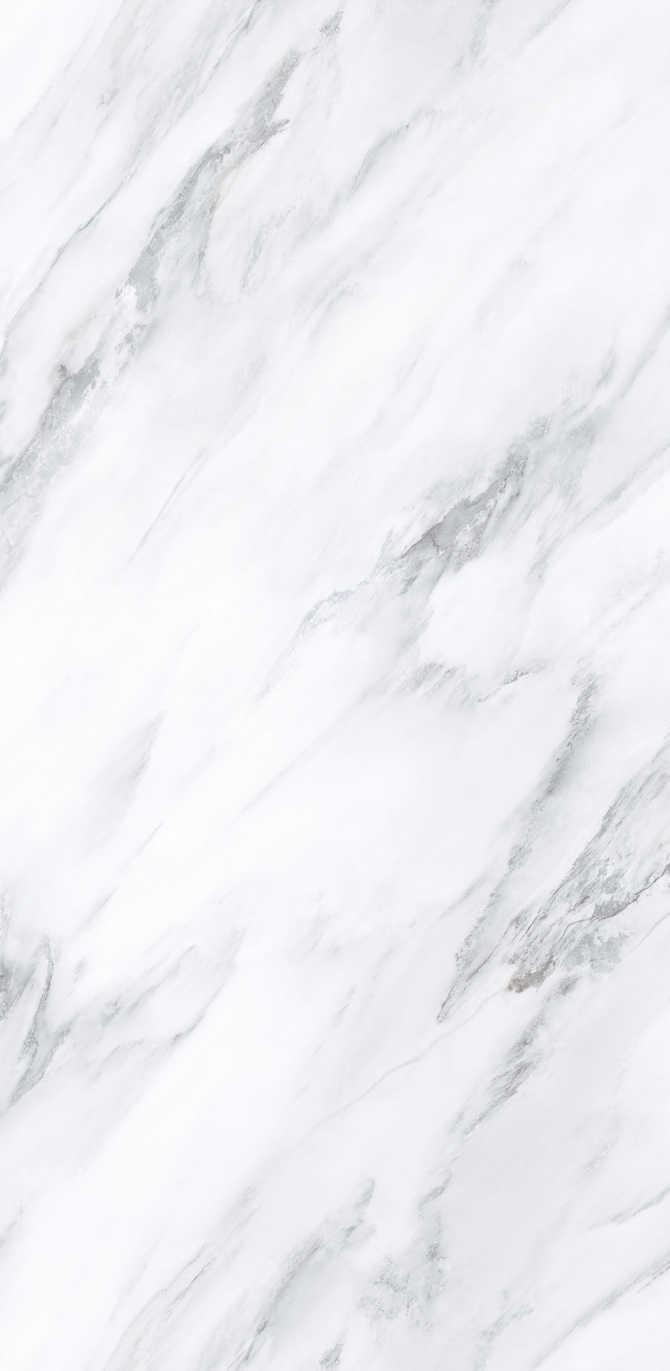 HJ9L2412025B雪松白