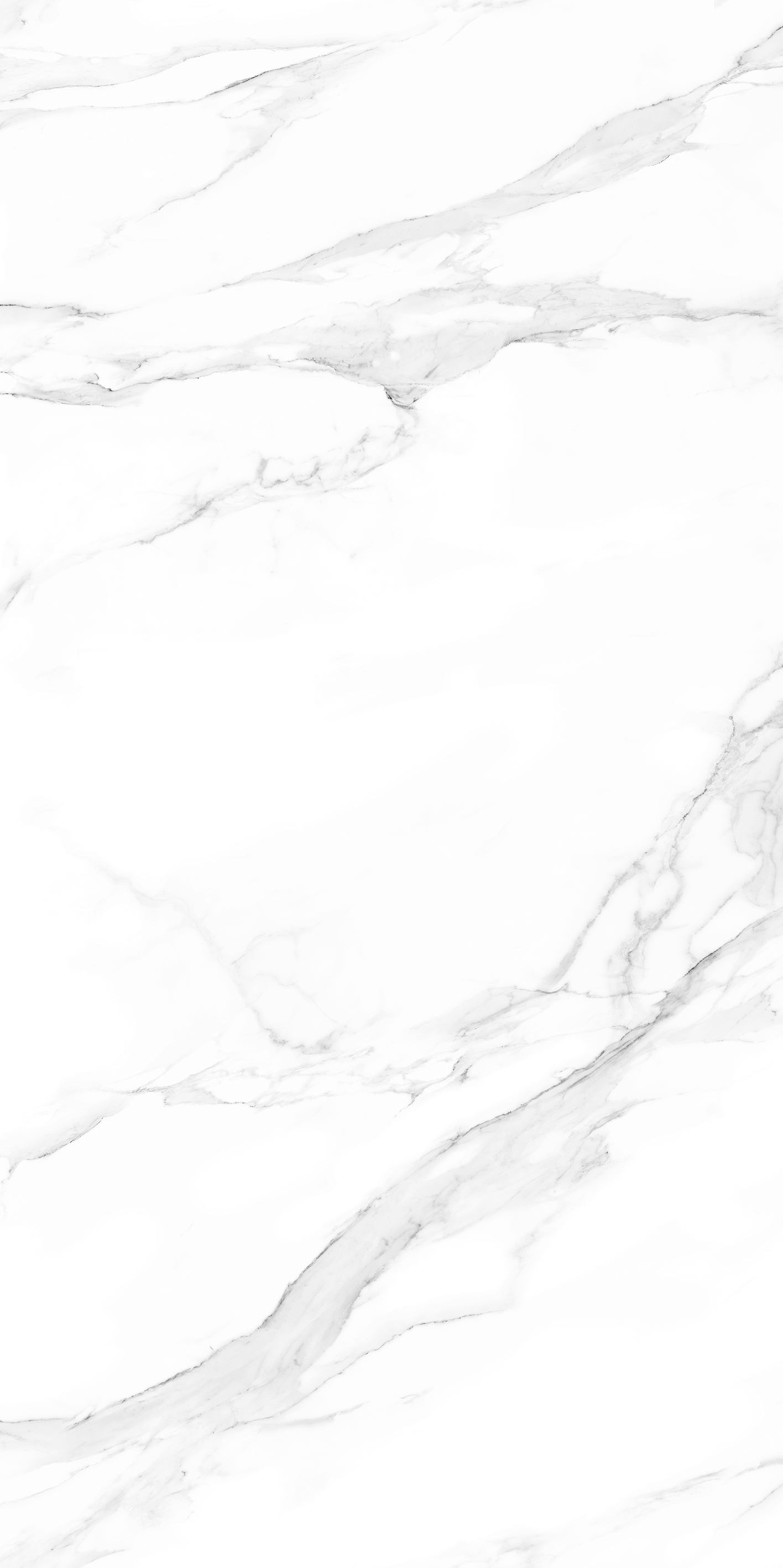 HJ241214莫扎特白