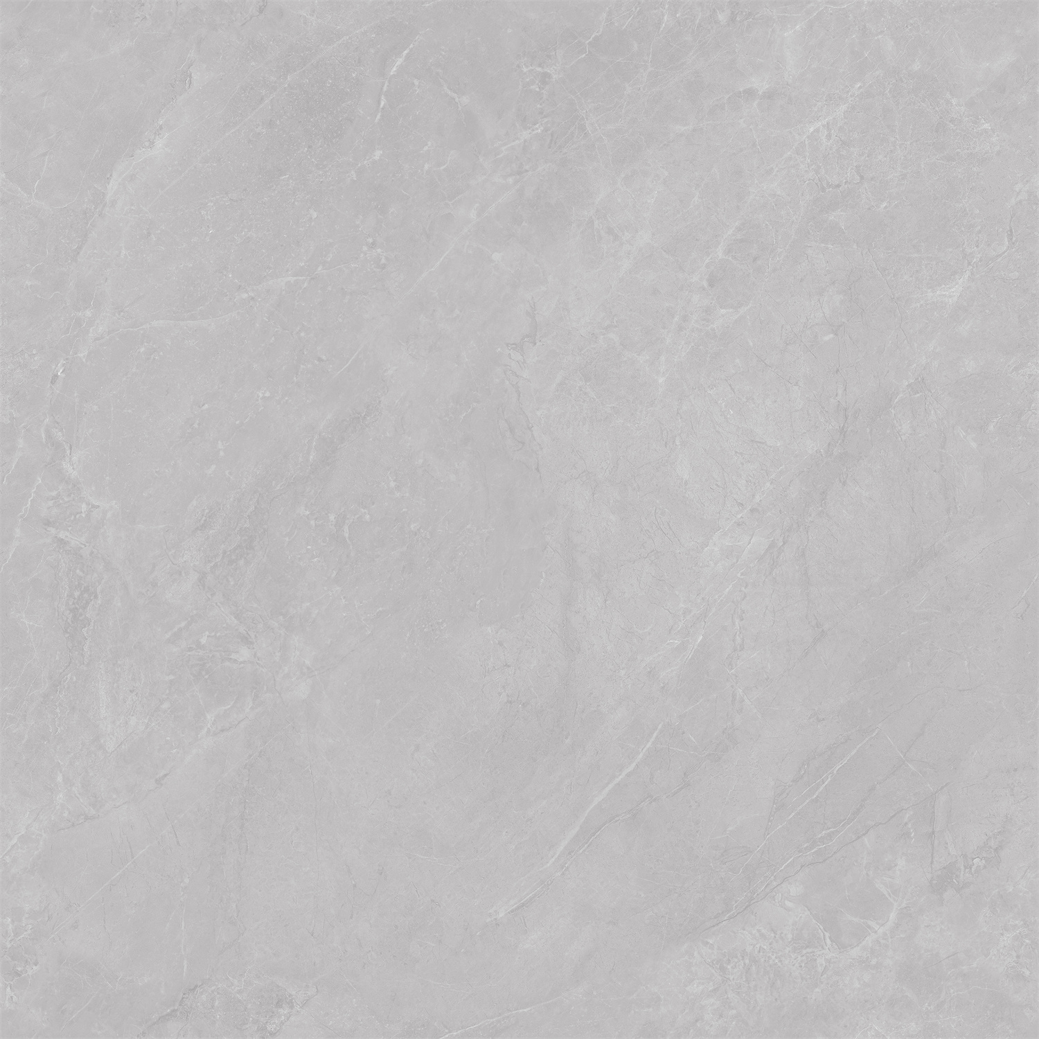 YGD80304云霧松林